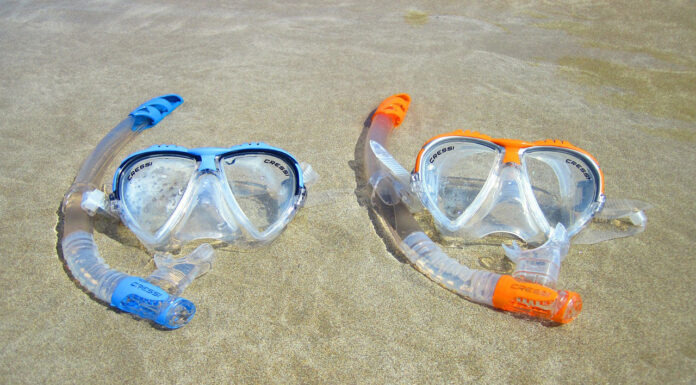 The Hidden Gems of Oahu You Should Add to Your Bucket List Snorkling in Oahu. Photo by PublicDomainPictures from Pixabay