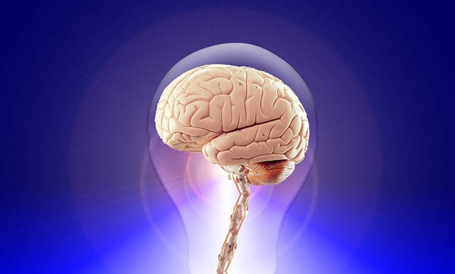 How Therapy Can Help You Overcome Issues You’re Dealing With Therapy treatment can and will work on the brain. Photo by pixabay