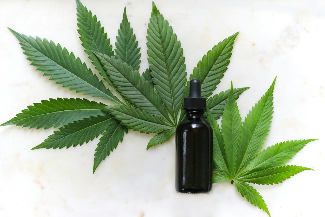 Cannabis Products available. Photo by Kimzy Nanney via Unsplash