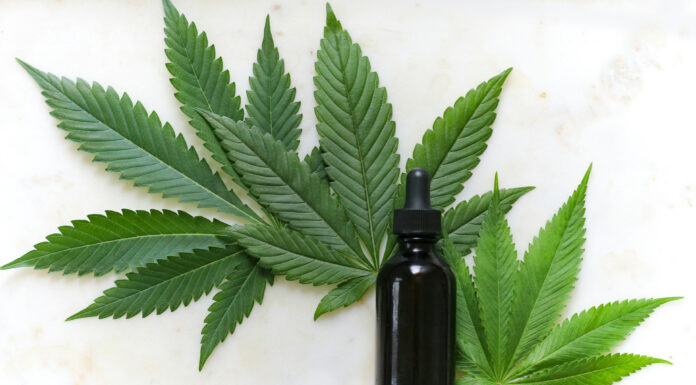 How to Use CBD Products to Enrich Your Lifestyle Cannabis Products available. Photo by Kimzy Nanney via Unsplash