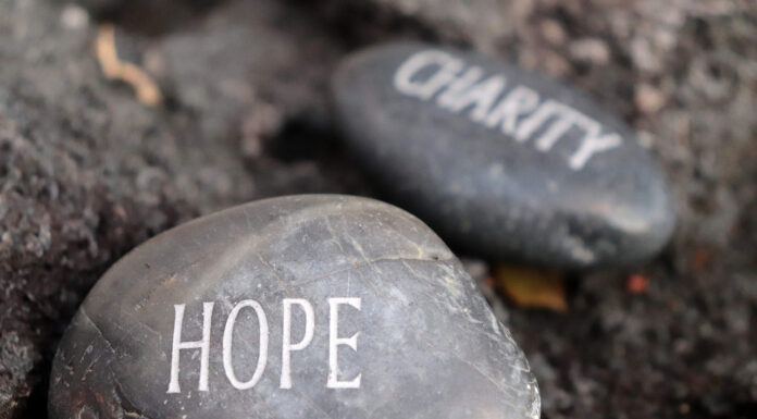 Top 5 Trends Transforming Charitable Donations Among the Wealthy Charitable Donations. Photo by ladybug1093 from Pixabay