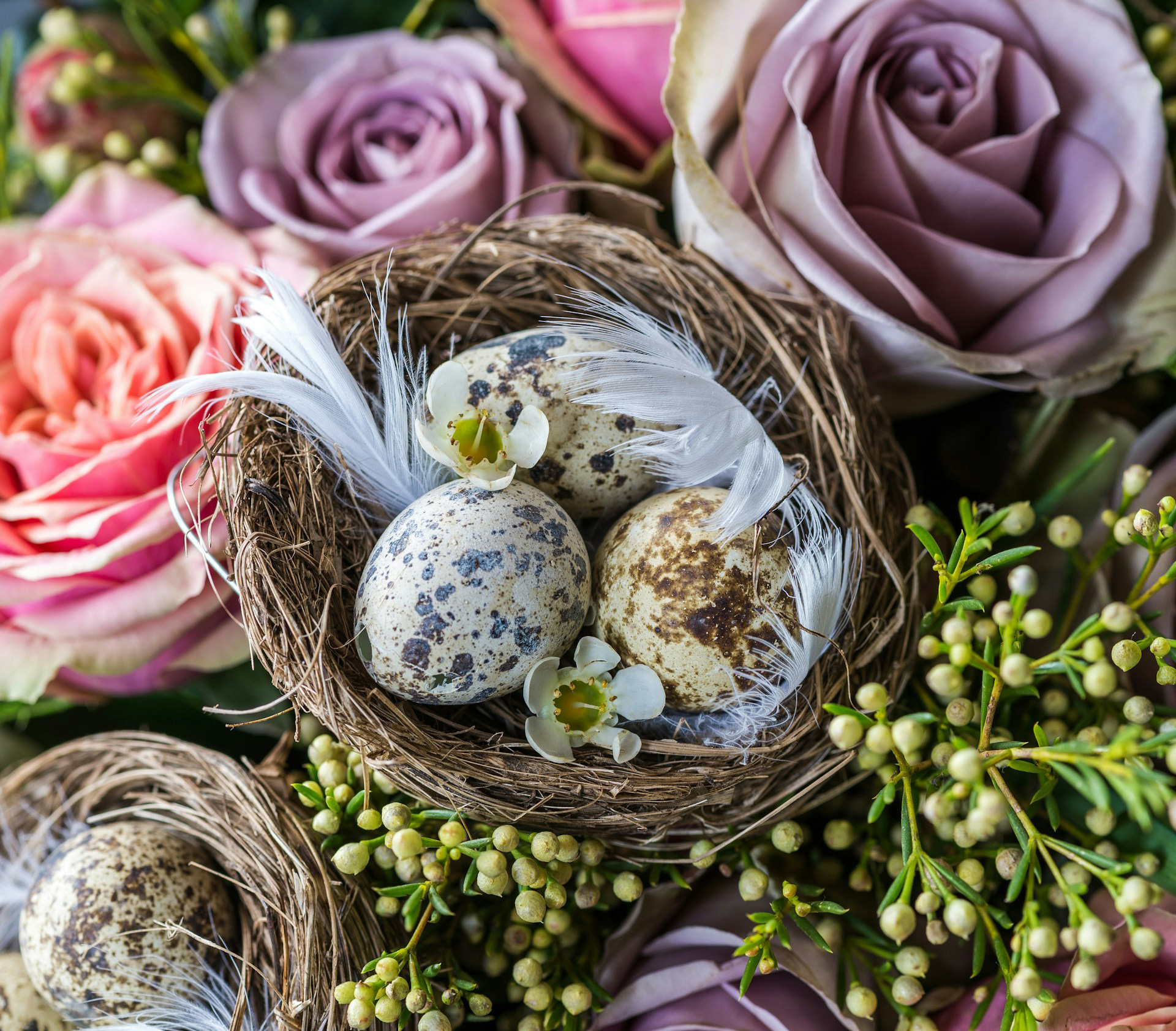 Floral Easter Egg Designs. Photo by Jez Timms via unsplash