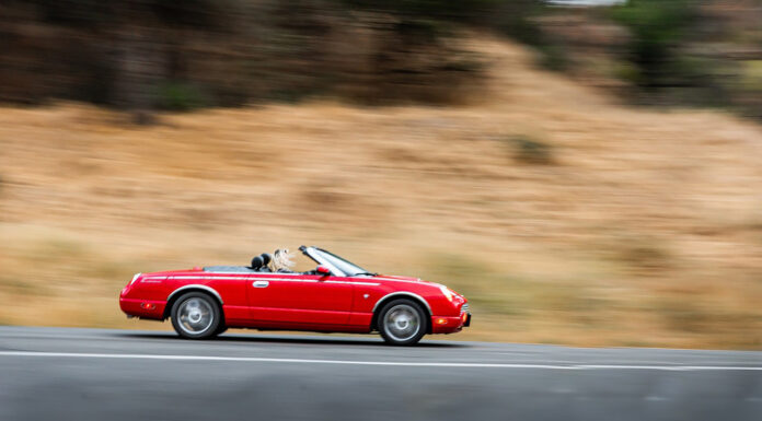 Car Accidents Involving Luxury Cars: Four Important Things to Know Luxury Car Accidents. Photo via Pixabay image by Tyler Clemmensen