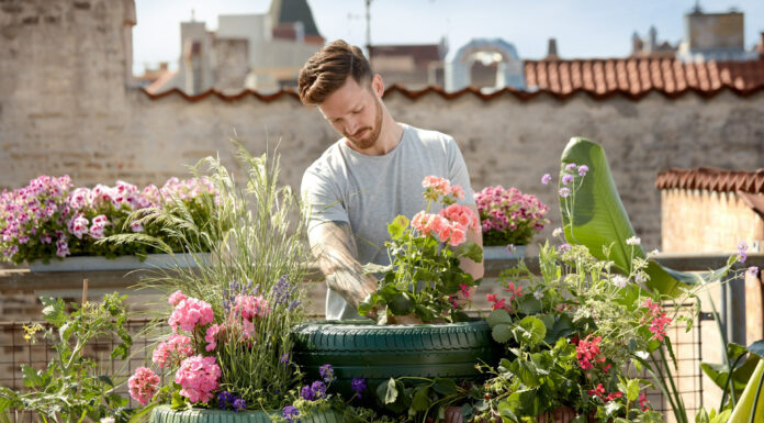 Planting Styles : How To Create Your Dream Garden For Beginners Planting in your garden. Photo by Pelargoniums for Europe via unsplash
