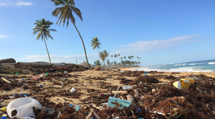 Understanding Ocean Pollution: 6 Useful Facts to Know Polution on the beach and the ocean. Photo by Dustan Woodhouse via unsplash