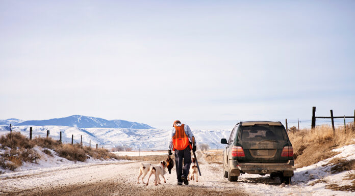 How Do You Choose the Perfect Hunting Vehicle? Rear view of hunter with dogs standing by car on field