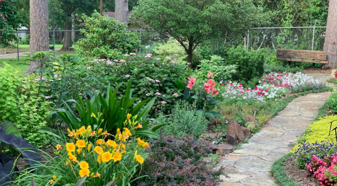 Backyard Retreat: Creating a Relaxing and Functional Space in Your Yard Backyard retreat. Photo by Aniston Grace via unsplash