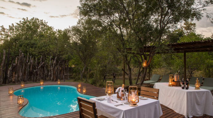 Captivating Kanana in the Okavango Delta Kanana Pool