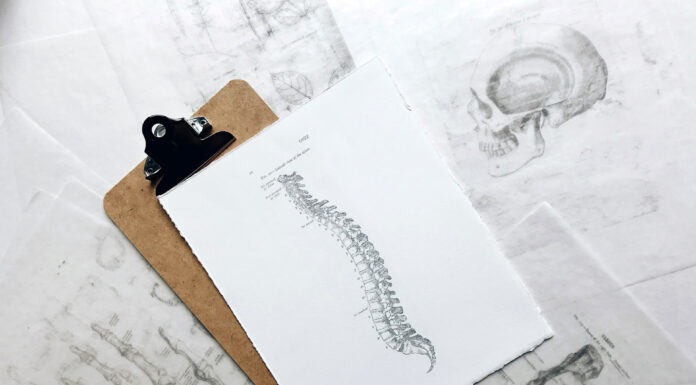 Tips for a Strong and Healthy Spine Spinal cord print manual. Photo by Joyce Hankins via unsplash