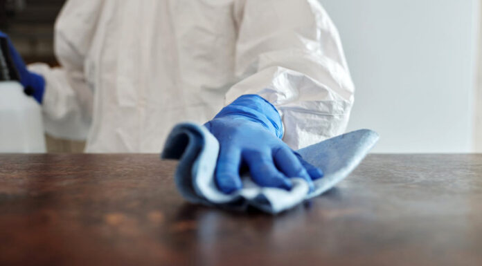 Dealing With a Pest Infestation: 6 Practical Tips to Follow cleaning surfaces after a pest infestation. Photo by Matilda Wormwood via pexels