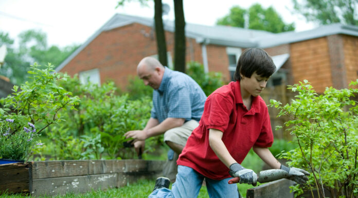 Don’t Let Pests Take Over: Tips for a Pest-Free Home family together working in the yard. Photo by CDC via unsplash