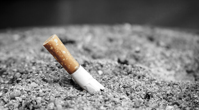 Elevate Your Smoking Experience Now: Discover Why an Ash Catcher Is a Game-Changer! ash catcher with a cigarette in it. Photo via adobe free stock