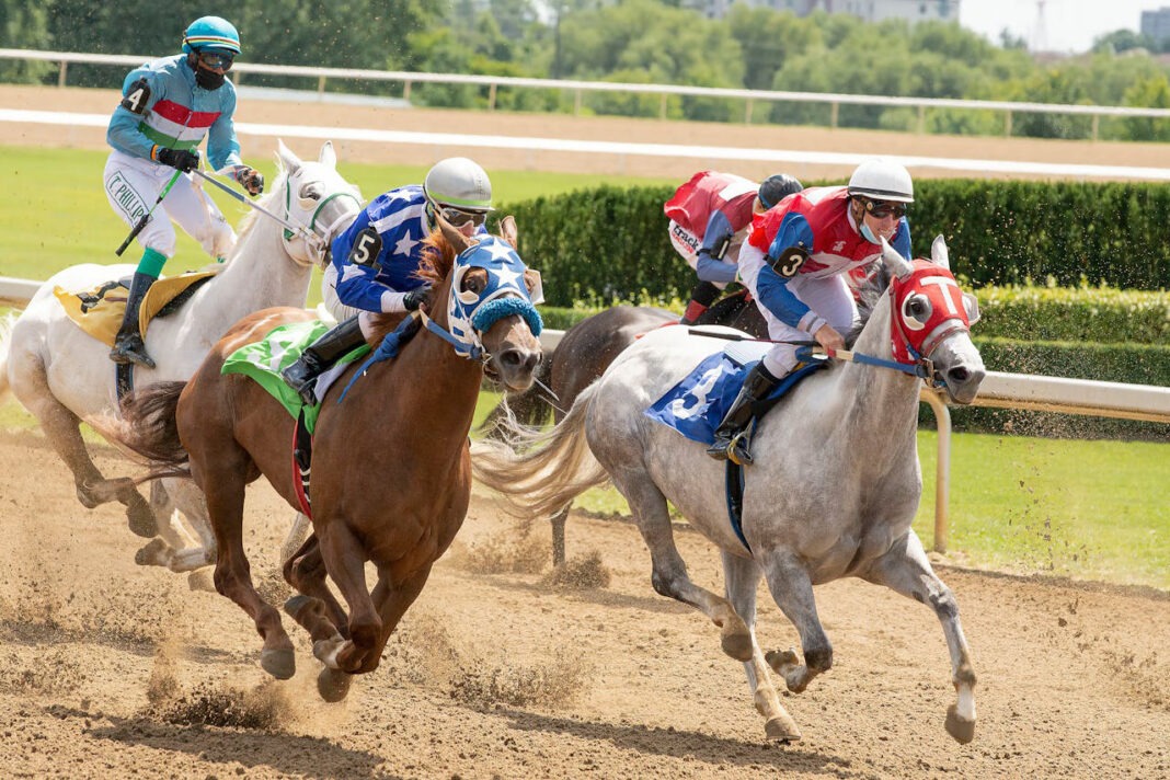 Saratoga Springs Belmont Stakes 2024. Photo by @coldbeer thru pexels