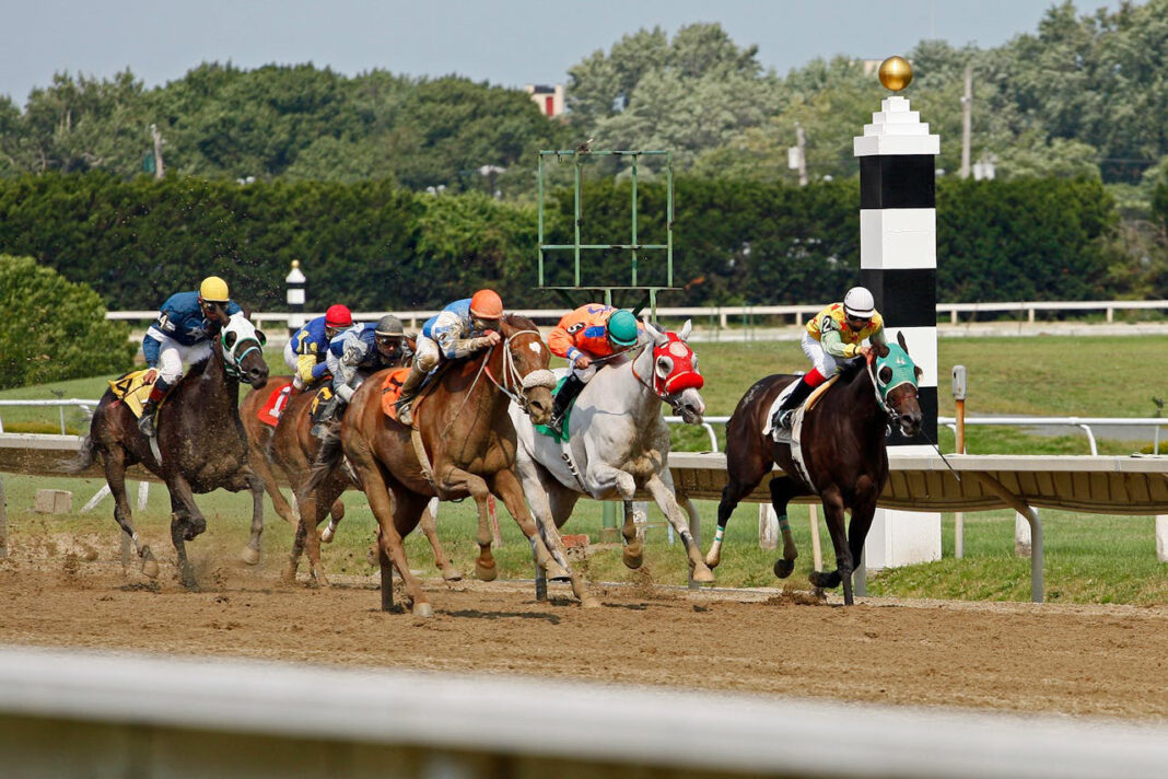 Racetrack Saratoga. Photo via Pexels-james-anthony-169333604-11341135