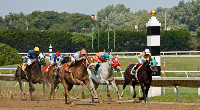 Saratoga Racetrack: More than a Racetrack Racetrack Saratoga. Photo via Pexels-james-anthony-169333604-11341135