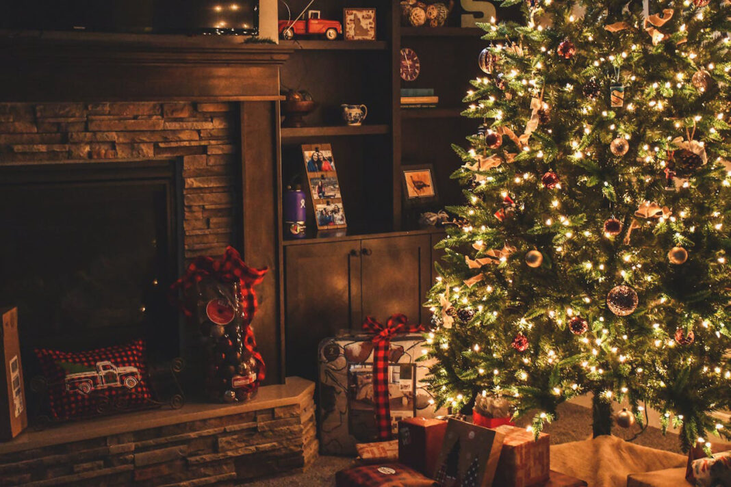 Designers Christmas Tree. Photo by Brett Sayles from pexels