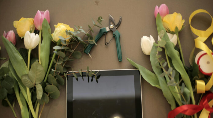 How Flower Delivery Can Save Your Last-Minute Gift Needs Flower Delivery Services. Photo by Andrea Piacquadio via pexels