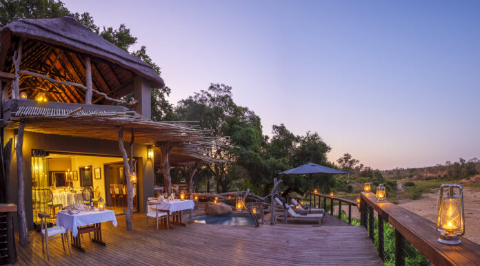 A Joyful Journey at Jock Safari Lodge Kruger National Park. Mpumalanga. South Africa.