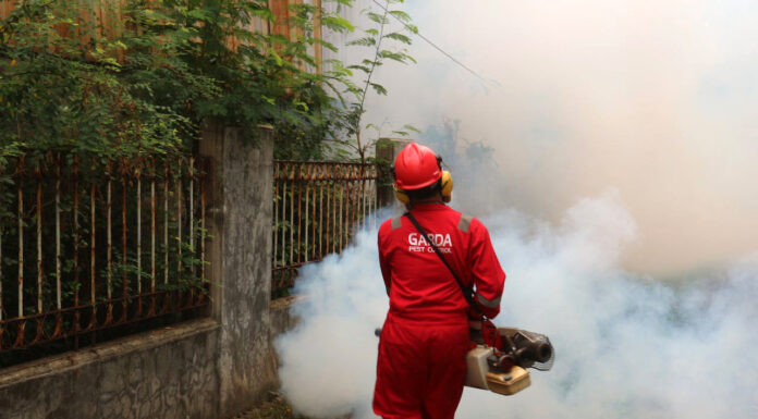 Why Pest Control is Crucial for Commercial Real Estate Management Pest Control. Photo by Garda Pest Control Indonesia via pexels