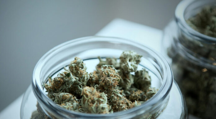 How to Choose Quality Cannabis Products Cannabis products. Photo by Budding via unsplash