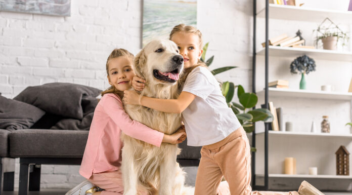 Paws & Perks: 5 Luxe Home Upgrades Your Pets Will Love adorable kids hugging golden retriever dog together at home