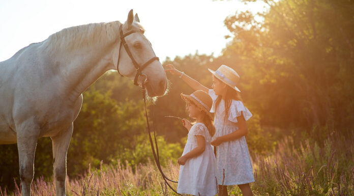 How to Choose a Summer Camp for Your Child: Expert Tips and Advice Sisters going to summer camp. Photo by Liliya Arslanova via pixabay