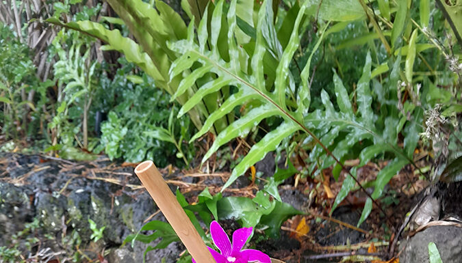 Calm Down Cocktail by Mixologist Jone Buatoka Calm Down cocktail from COMO Laucala Island from mixologist Jone Buatoka