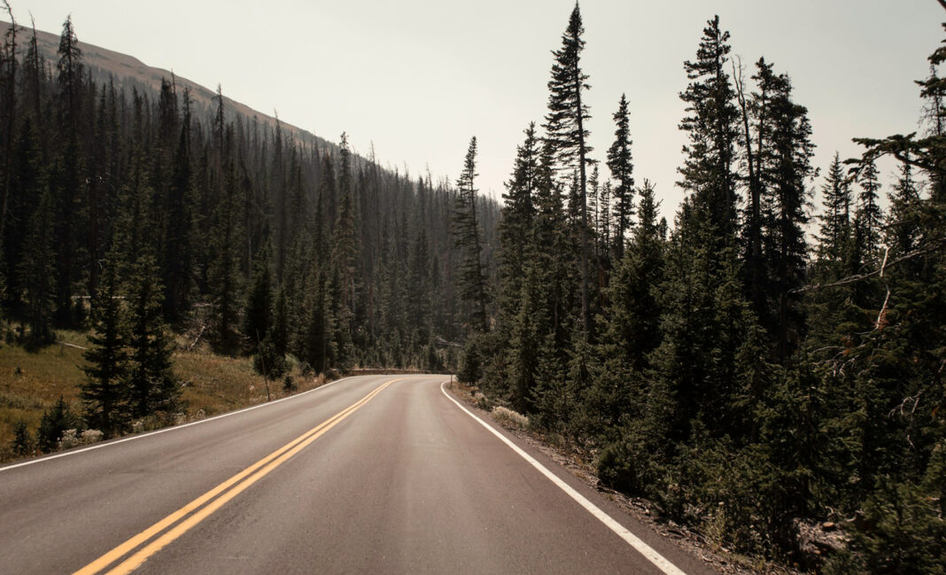 Car accident. Photo by Mason Wildfang via unsplash