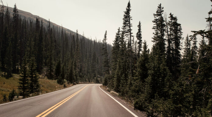 Your Rights After an Accident: Dealing with Negligent Drivers Car accident. Photo by Mason Wildfang via unsplash