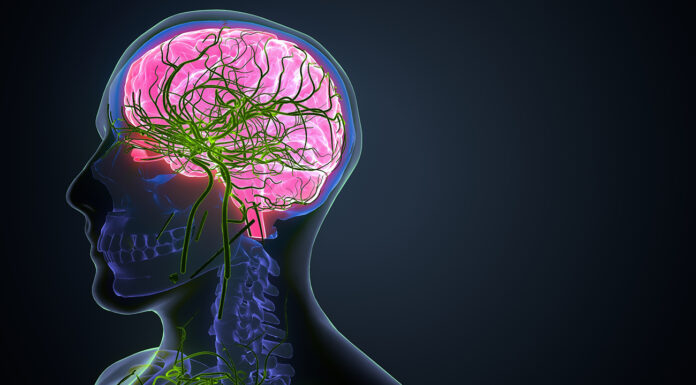 Enhance Your Cognitive Edge: The Benefits of Aniracetam as a Nootropic for Luxury Lifestyles Cognitive edge. photo source adobe