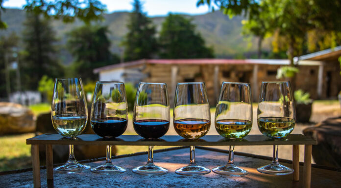 Three Countries in Europe Where You Can Combine a Bike Tour With a Wine-Tasting Tour Wine Tasting Countries. Photo via pexels by Magda Ehlers