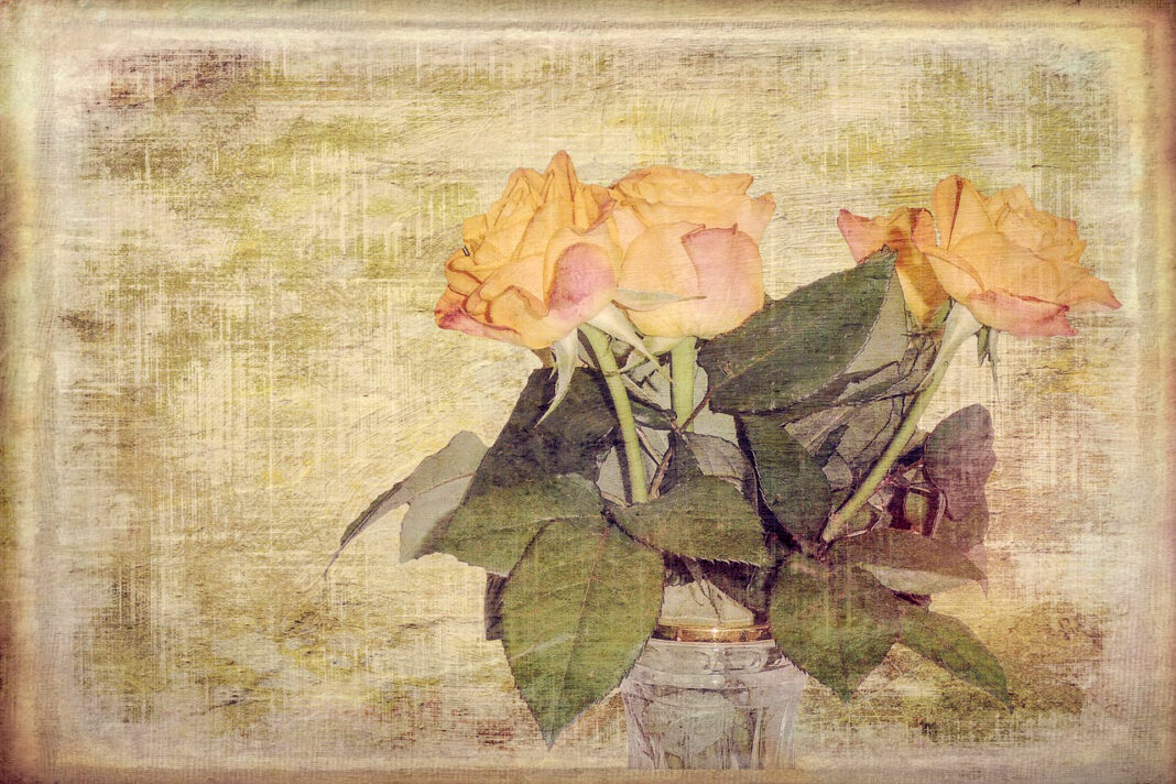 canvas printing. photo by Lizenzbedingungen zu via pixabay