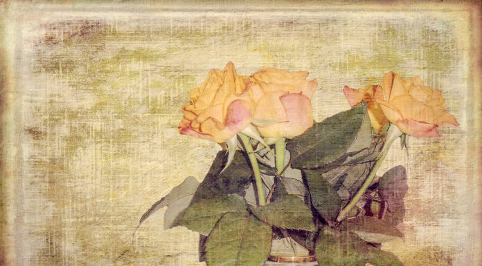 Top 7 Things You Should Know About Canvas Printing canvas printing. photo by Lizenzbedingungen zu via pixabay