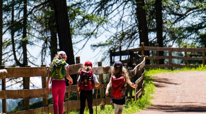 6 Reasons to Walk the Portuguese Coastal Camino with Santiago Ways Children walking the Portugal Coastal Camino. Photo provided by LEOlytics