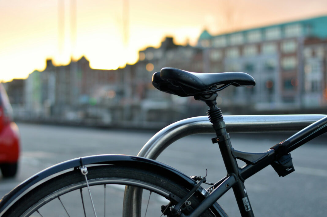 Finding the right back for you. Photo by Alejandro Lopez via unsplash