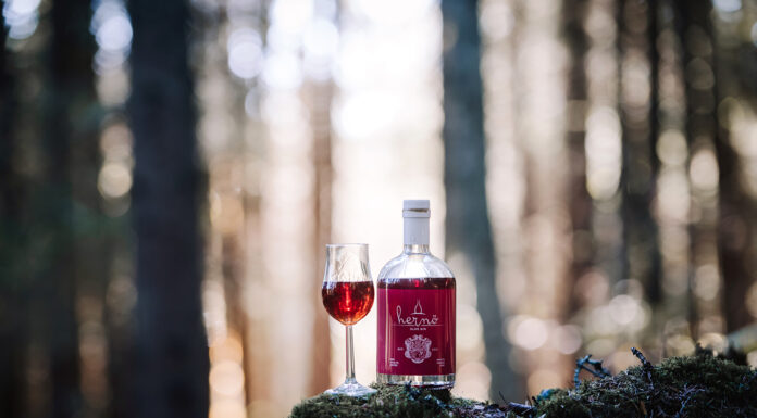 This Time of Year Take the Sloe Way & Cocktail Recipes Hernö Sloe Gin
