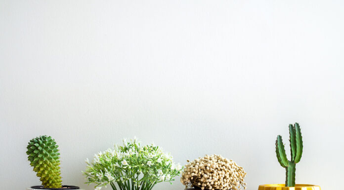 Why Bambu Lab ASA Filament Is Perfect for Durable Outdoor 3D Prints Bambu Lab ASA Filament. Photo by tete_escape via adobe