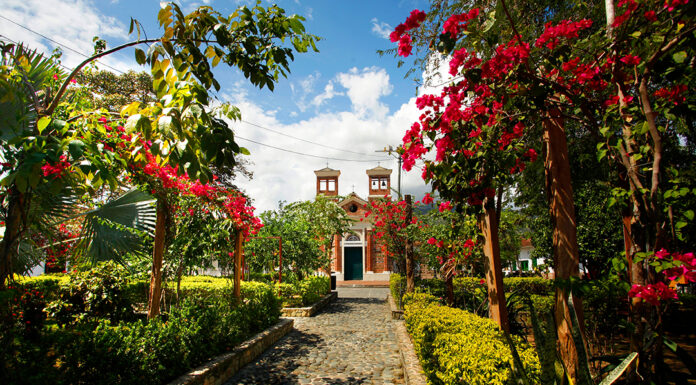 How to Grow a Successful Cottage Garden Beautiful Cottage Garden. Photo by Guillermo Ossa via adobe