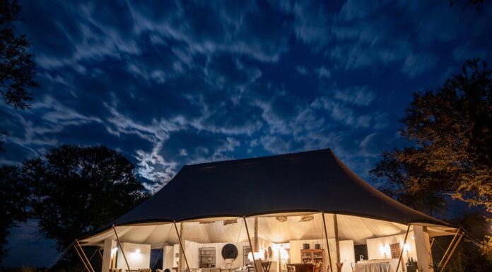 Charismatic Chisa Busanga Camp in Zambia’s Kafue National Park Chisa Busanga Chase Bjornson