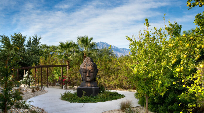 6 Best Wellness Retreats in California We Care Spa