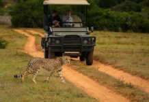 Amakhala Game Reserve in South Africa