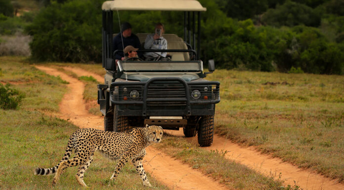 Appealing Amakhala Game Reserve in South Africa’s Eastern Cape Province Amakhala Game Reserve in South Africa
