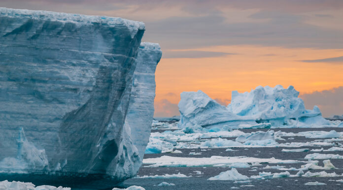 Top Reasons Why an Antarctica Cruise Should Be on Your Bucket List Top Reasons Why an Antarctica Cruise Should Be on Your Bucket List