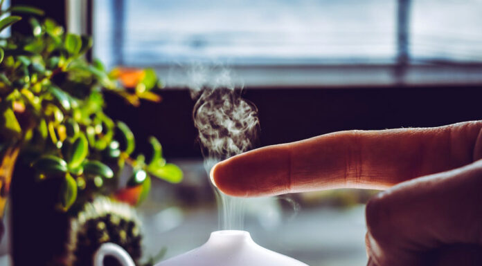 Breathing Easy in Your Home: How to Clear the Air (Literally) Clean Air. Photo via pexels by Chris F