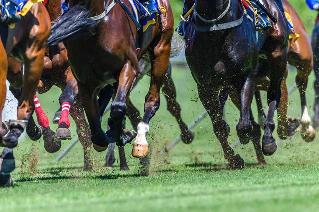 Horse Racing. Photo by Chris Van Lennep Photo via adobe