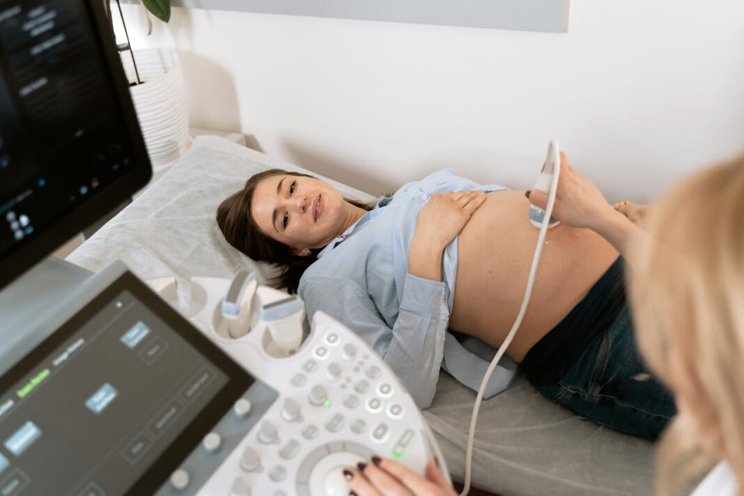 Process of IVF What You Need to Know. Photo by Mart Production via pexels