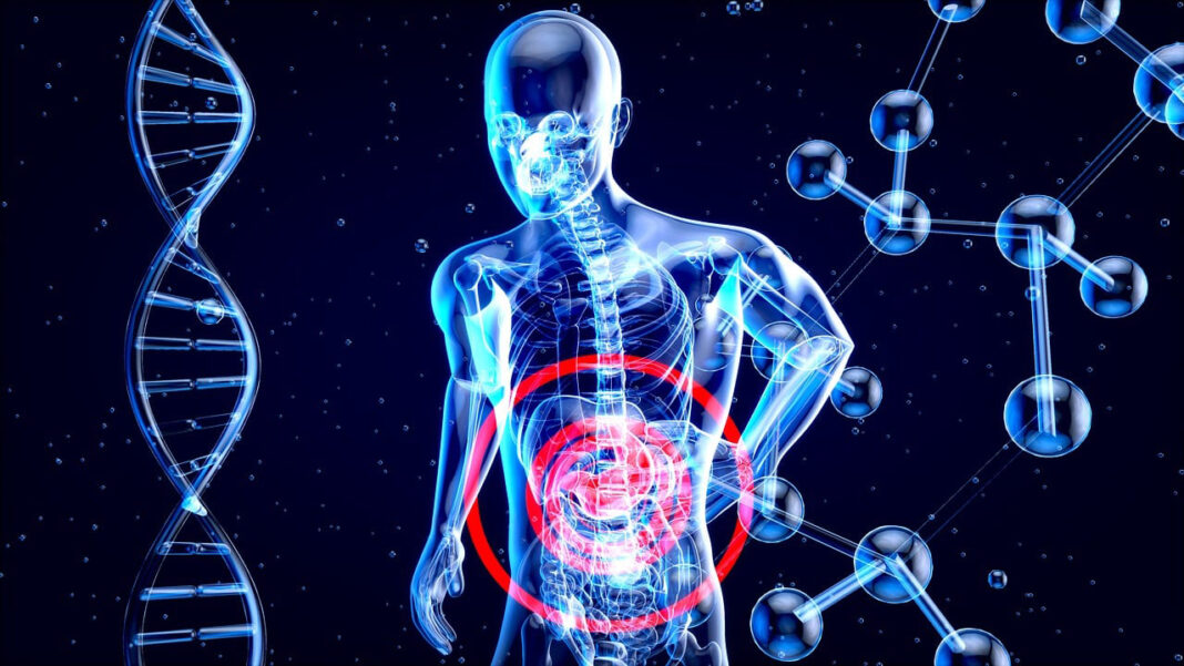 Gut health. Photo by Julien Tromeur from Pixabay