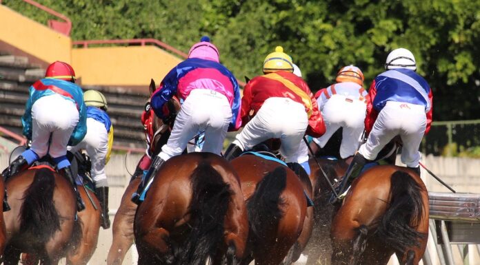 The Biggest UK and Global Horse Races in 2025 Horse Races 2025. Image by H. Hach from pixabay