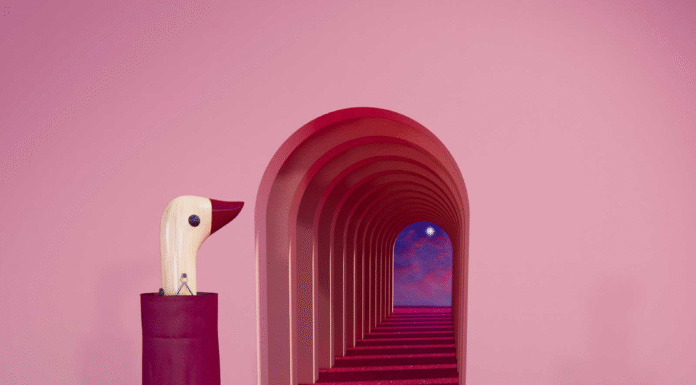 Brollies Galore: The Art of the Brolly Original Duckhead