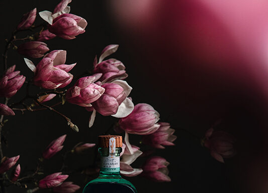 Maplewood and Other Luxury Canadian Gins